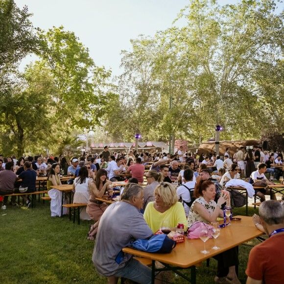 Record de asistencia en el II Festival Internacional de la Garnacha