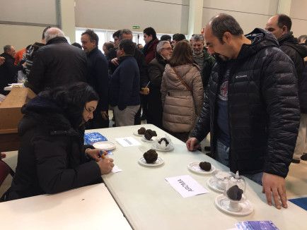 Feria de la Trufa Vera de Moncayo