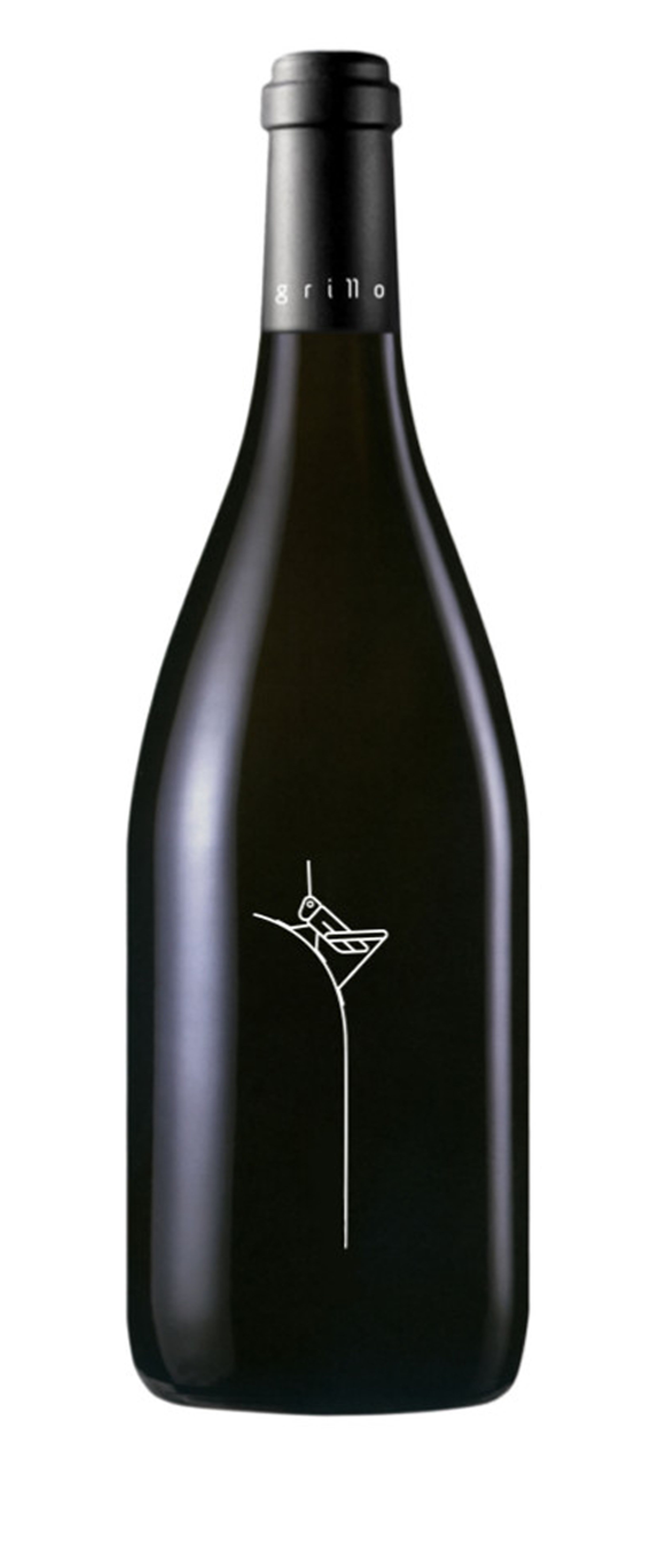 Súper Grillo 2009, from Bodega El Grillo y la Luna, picks up the only grand gold medal for a Somontano D.O. wine at the Concours Mondial de Bruselles