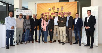 VIII concurso de croquetas