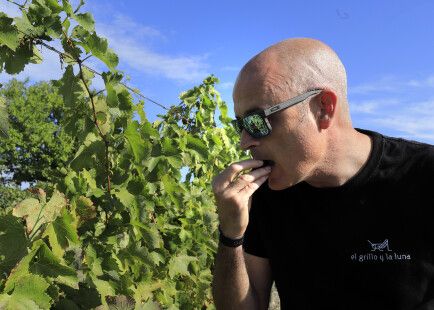 Alberto Santiago - Bodegas El Grillo y la Luna