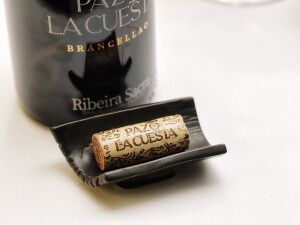 Brancellao 23 de Pazo de La Cuesta