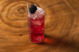 Cariñena Spritz Berry