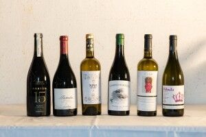 Cata sensorial D O Cariñena, los seis vinos catados