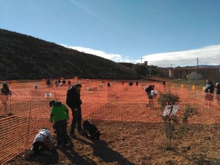 Concurso Nacional de Caza de Trufa de Daroca