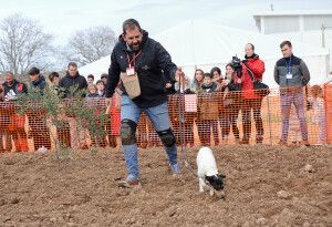Carlos Javier Diarte y Laica ganadores del IV Concurso Nacional de Perros Truferos de la Sierra del Moncayo 