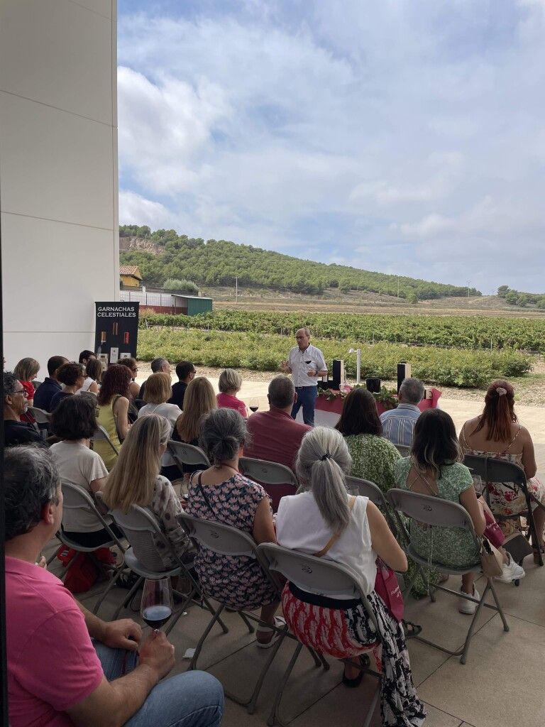 Fuendejalón D'Vinos