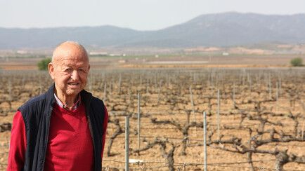 Félix Báguena