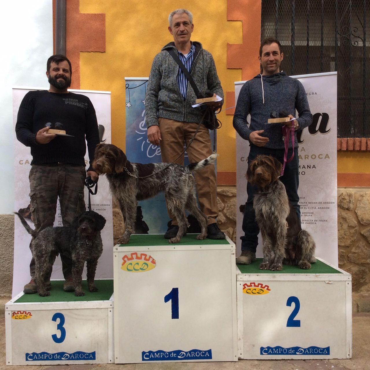 El Concurso de Perros Truferos de la Comarca Campo de Daroca prevé asentar las bases para convertirse en certamen nacional