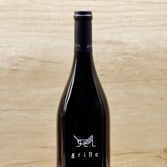 Grillo 2017