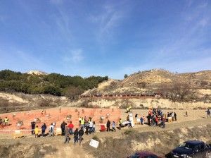 II Concurso Perros Truferos Campo de Daroca en Retascón