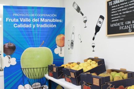 Presentación Fruta Valle del Manubles