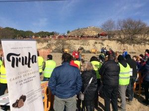 Imagen del certamen - II Concurso Perros Truferos Campo de Daroca