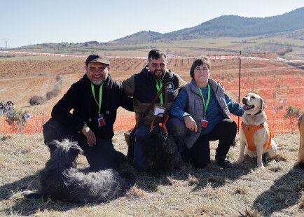 Los tres ganadores de la cuarta edición