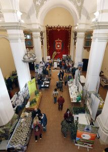 El mercado de la tierra de Daroca ha contado con una veintena de expositores