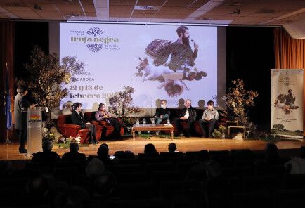 Mesa redonda jornadas técnicas Daroca