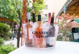 Presentación Garnacha 10