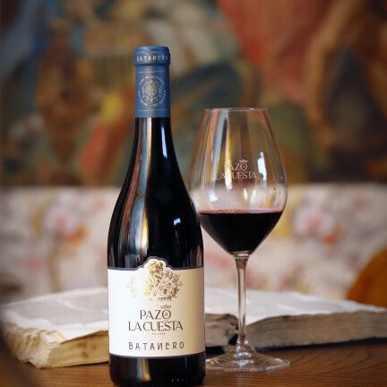 Pazo de la Cuesta_Batanero