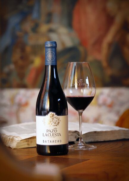 Pazo de la Cuesta_Batanero