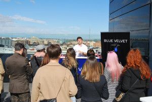 Presentación Blue Velvet
