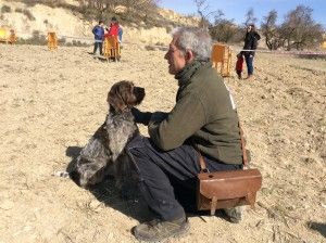 Senda, primera clasificada Concurso de Perros Truferos Comarca Daroca