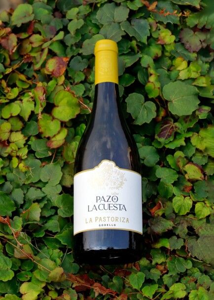 La Pastoriza 2023