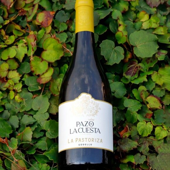 La Pastoriza 2023