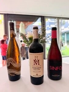 Vinos de Ribera del Duero en la presentación de la Milla de Oro del Vino de la Provincia de Valladolid en Zaragoza