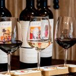 Presentación de Care Wine Tour Zaragoza