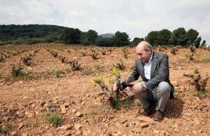 El gerente de Bodegas Aragonesas, Enrique Chueca.